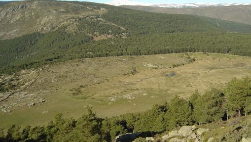 Senda de los Arroyos, Puerto de Canencia