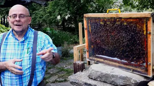 Paco Parra junto a un panal de «Mis amigas las abejas»