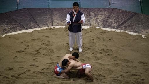 Festival de lucha coreana