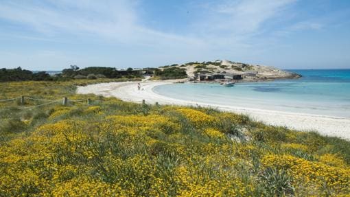 Las diez mejores playas de España en 2019, según los internautas