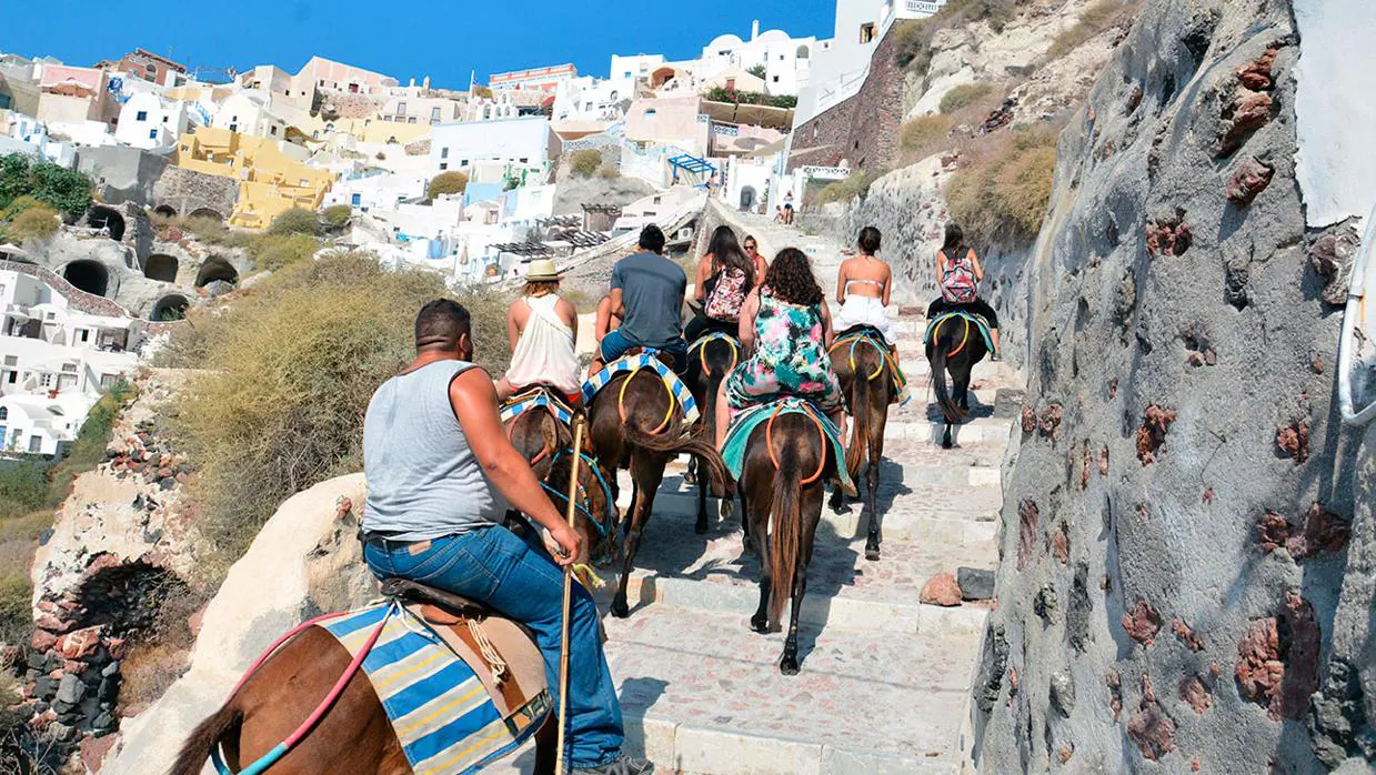 Burros con turistas en las cuestas empinadas de Santorini