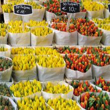 Las razones del final del Mercado de las Flores de Ámsterdam