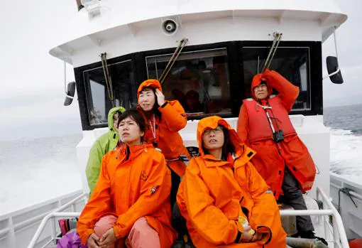 Turistas en busca de ballenas, en Japón