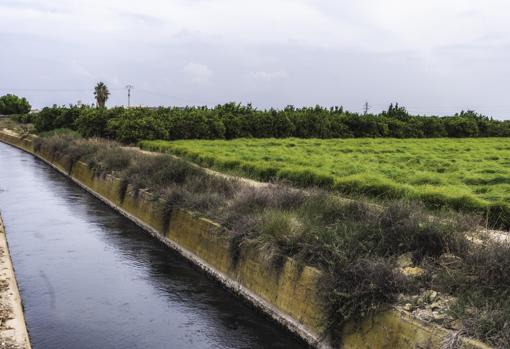 Un paseo por la huerta, una forma diferente de hacer turismo por Valencia