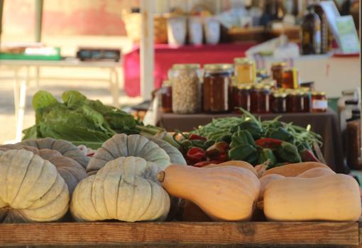 Un paseo por la huerta, una forma diferente de hacer turismo por Valencia