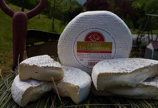 Doce de los mejores quesos artesanales hechos en España