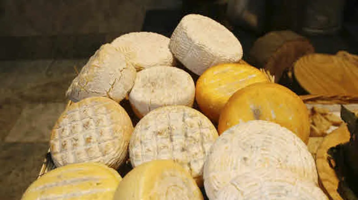 Estos son los 26 quesos españoles con Denominación de Origen