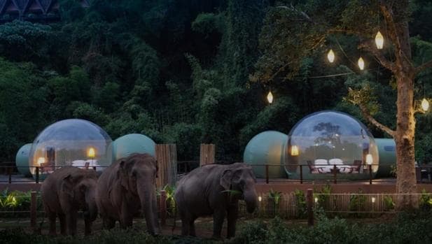 Una empresa española crea habitaciones burbuja con vistas a la selva en Tailandia
