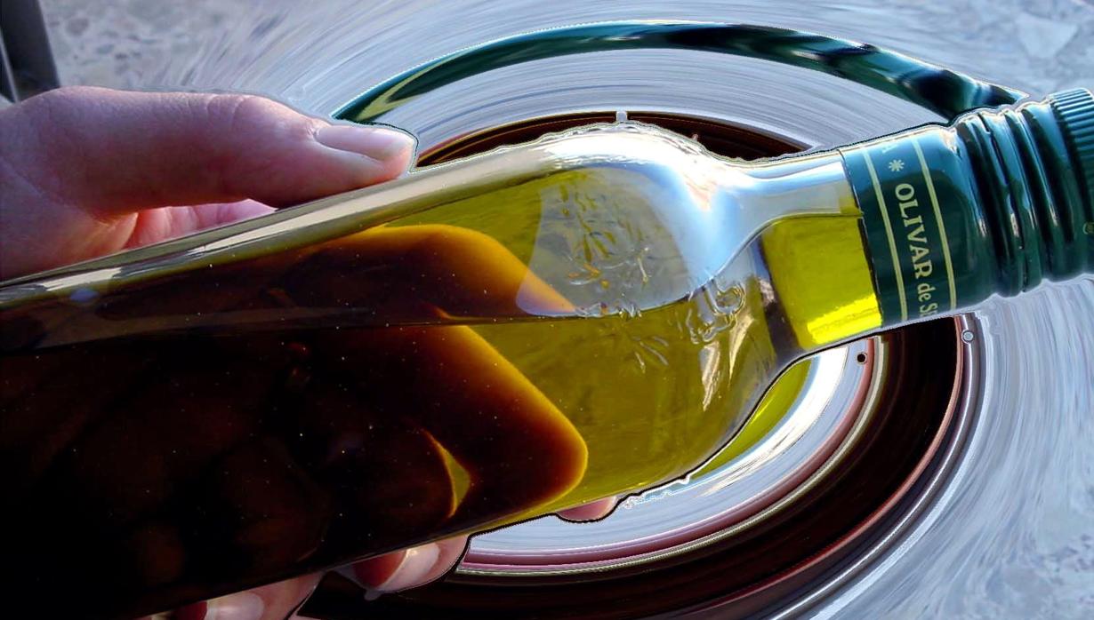 Diez de los mejores aceites de oliva virgen extra de España