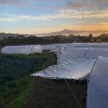 Finca de los Cuervos