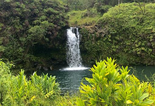 El recorrido de la carretera a Hana está plagado de saltos de agua y charcas donde te puedes bañar