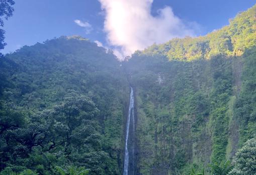 Aunque ninguna fotografía es captar la magnificencia de Waimoku Falls, en la imagen, vista de la catarata a cierta distancia de su base