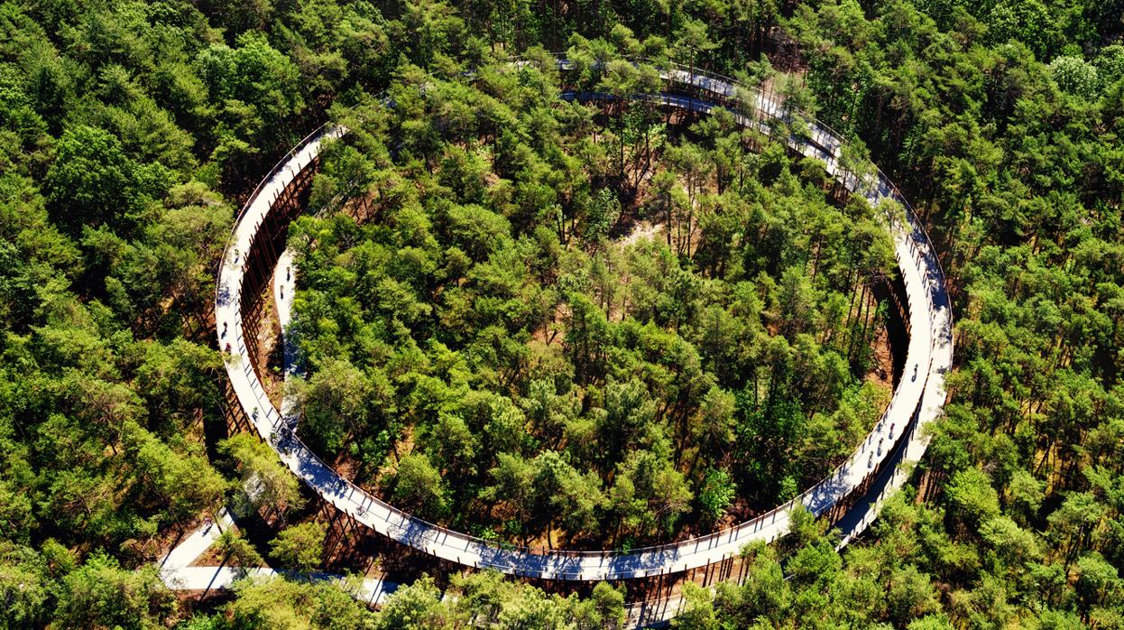 Cinco increíbles puentes circulares entre árboles, sobre el agua o en lo alto de un acantilado