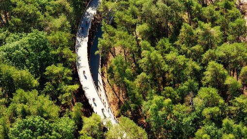 Cinco increíbles puentes circulares entre árboles, sobre el agua o en lo alto de un acantilado