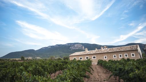 Un alojamiento en mitad de un viñedo, en Jumilla