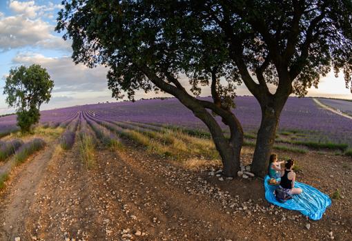 Dos personas ven el atardecer en los campos de lavanda de la localidad de Brihuega, en Guadalajara