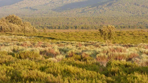 La sierra de Zamora donde viven los lobos (y el turismo rural lo agradece)