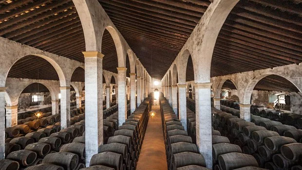 Cuatro vinos españoles entre los mejores del mundo en 2020, según los premios Decanter