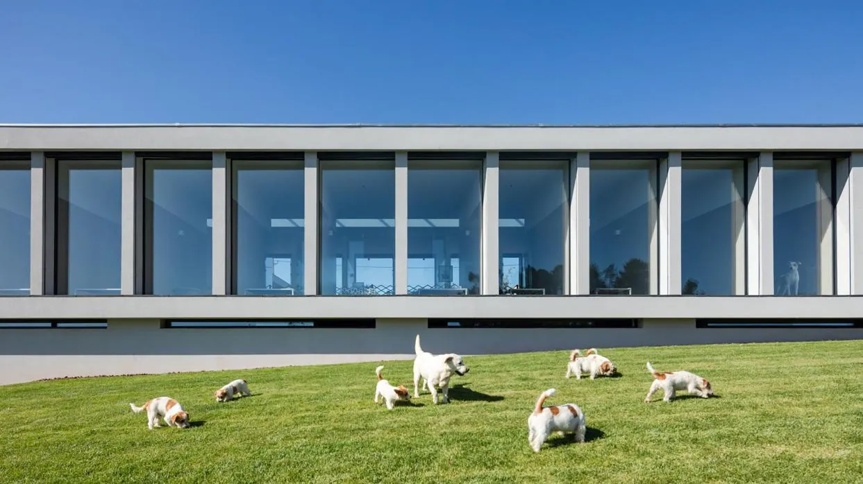 Fachada del nuevo hotel para perros y gatos en Parada, Portugal