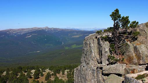 Sierra de Cebollera