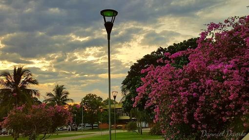 Praça dos girassois