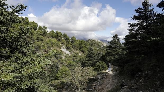 El nuevo parque nacional de España está en Málaga: estas son sus joyas imprescindibles