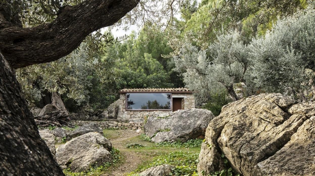Exterior de la Purple House, entre los olivos centenarios de la Sierra de Tramuntana en Mallorca