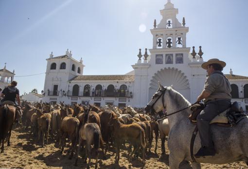 La Saca de las Yeguas es una tradición que se celebra en la aldea del Rocío y por los caminos hacia el municipio de Almonte