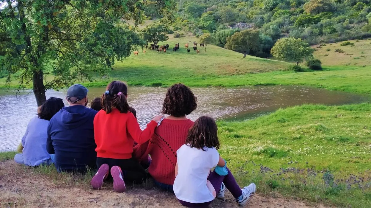 La ganadería de Las Monjas ofrece a las familias pasear por toda su finca