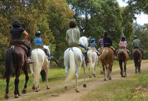 La ganadería de Las Monjas ofrece la posibilidad de realizar un paseo a caballo por su finca