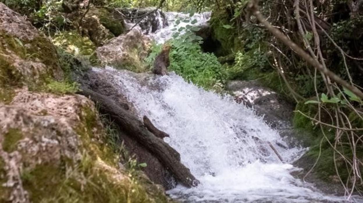 Área del Martinete, en la Sierra Norte de Sevilla