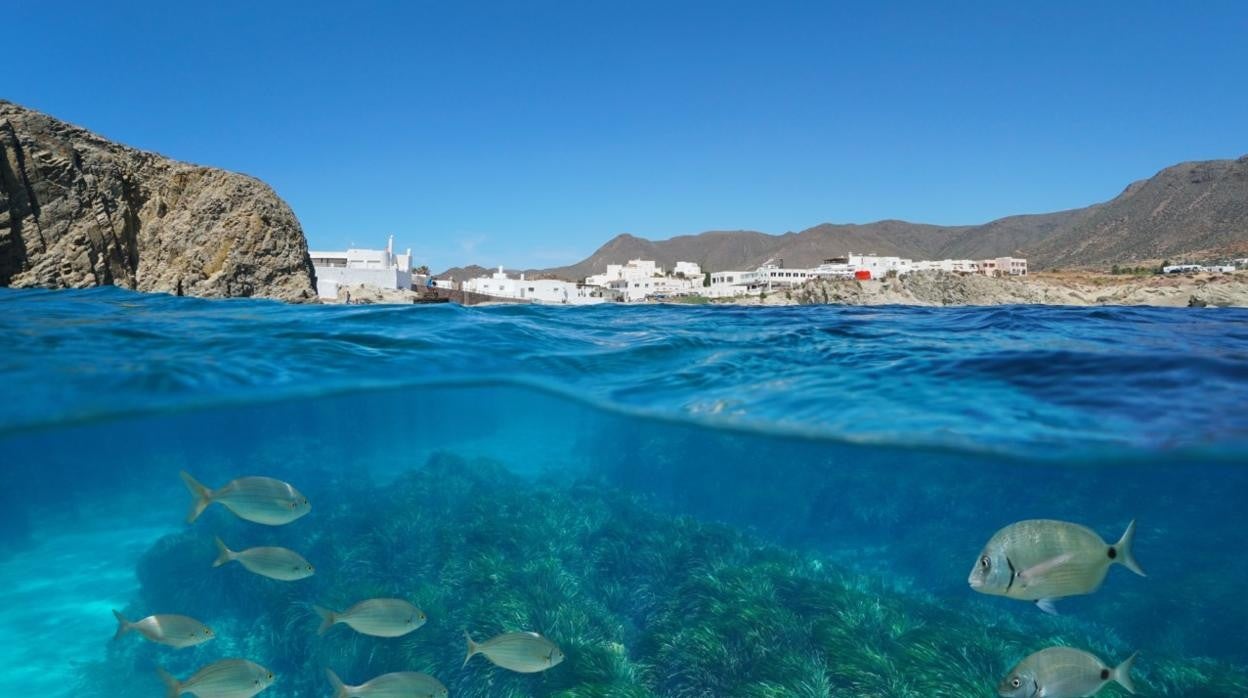 Día de buceo en La Isleta del Moro