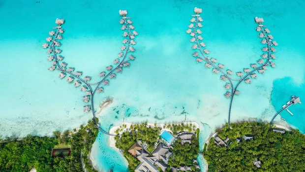 Cuatro hoteles en islas exóticas que tienen programas de protección de la vida marina