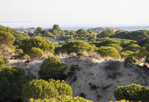 Playa de las Dunas, en la costa de Huelva