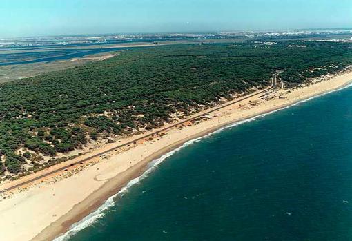 Playa de Los Enebrales, Punta Umbría