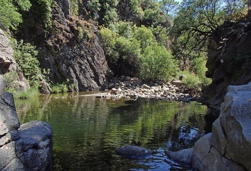 Pozas del Padrón