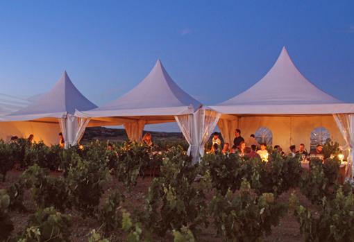 Cena entre las viñas en Valduero