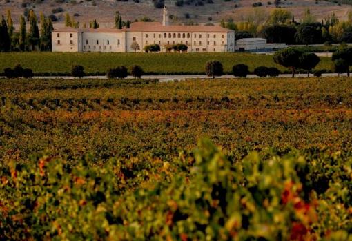 Las viñas junto al antiguo monasterio donde ahora está el hotel Le Domaine (Abadía Retuerta)