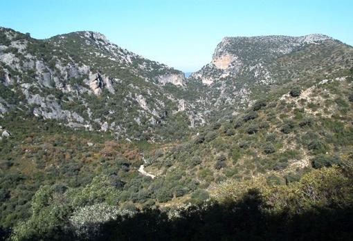 Sierra de Grazalema