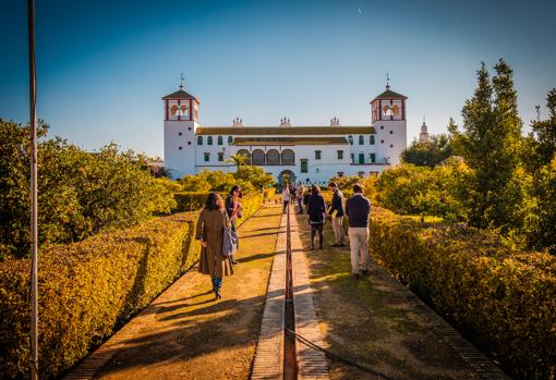 Un día de oleoturismo en Hacienda Guzmán, en la provincia de Sevilla