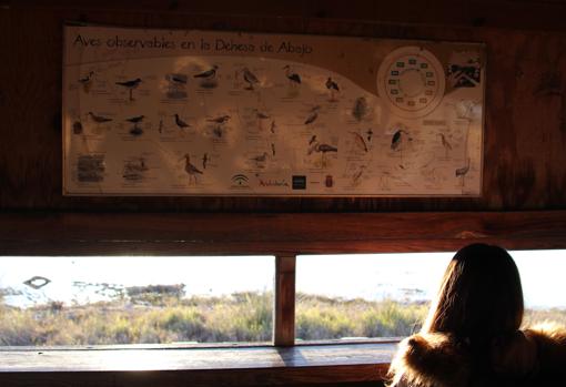 Los observatorios instalados para poder llevar a cabo la contemplación de las aves