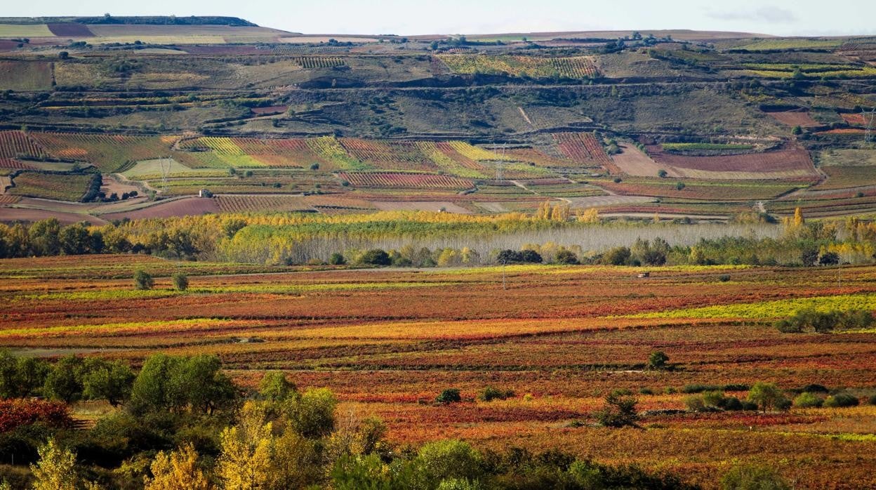 Diez curiosidades de La Rioja que quizá desconocías