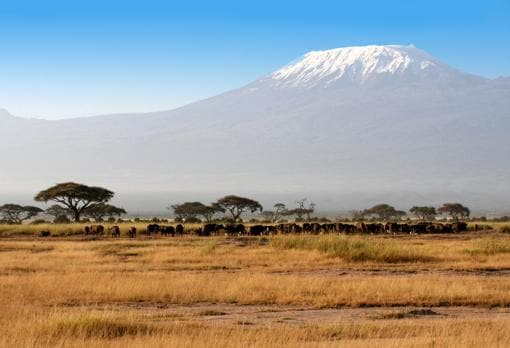 Parque Nacional del Kilimanjaro