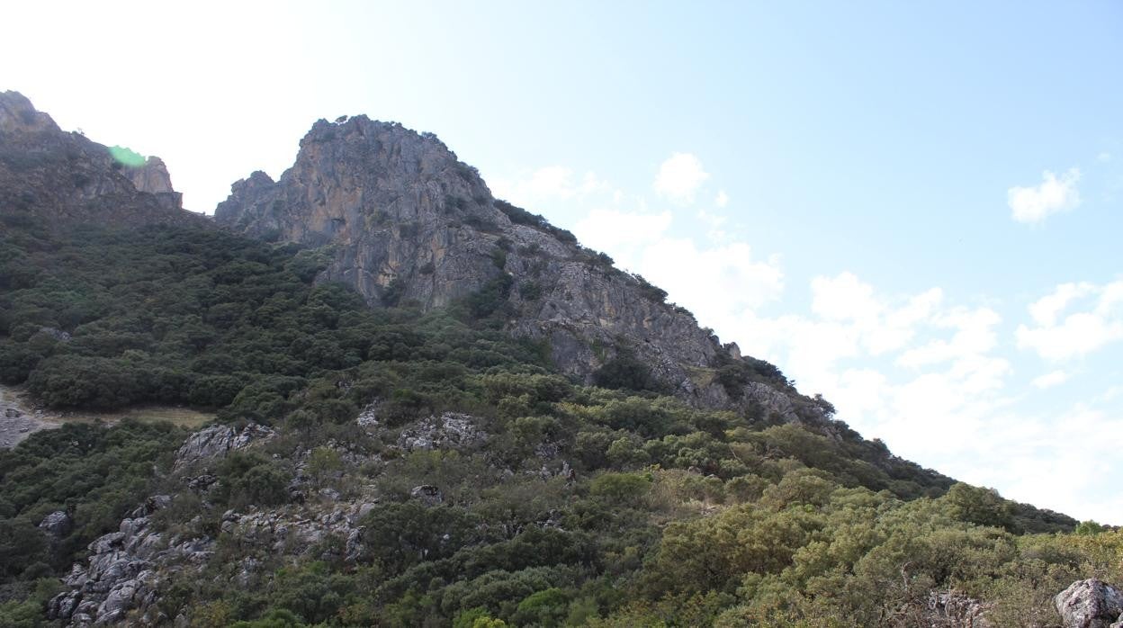 El Peñón de Algámitas es un paraje natural de gran interés situado en la provincia de Sevilla