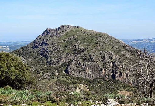 Cumbre de El Terril, el punto más alto de la provincia de Sevilla