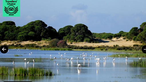 ¿Qué ver en Cádiz? Diez atracciones principales elegidas como Traveler&#039;s Choice