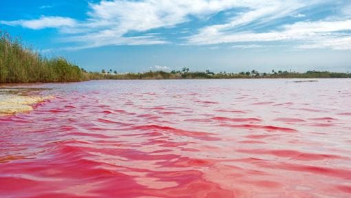 Imagen de la laguna rosa de Torrevieja