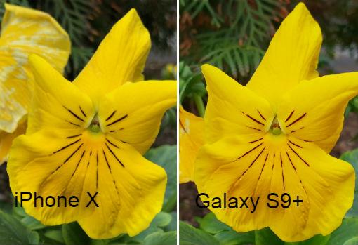 iPhone X y Samsung Galaxy S9 Plus: dos pesos pesados frente a frente